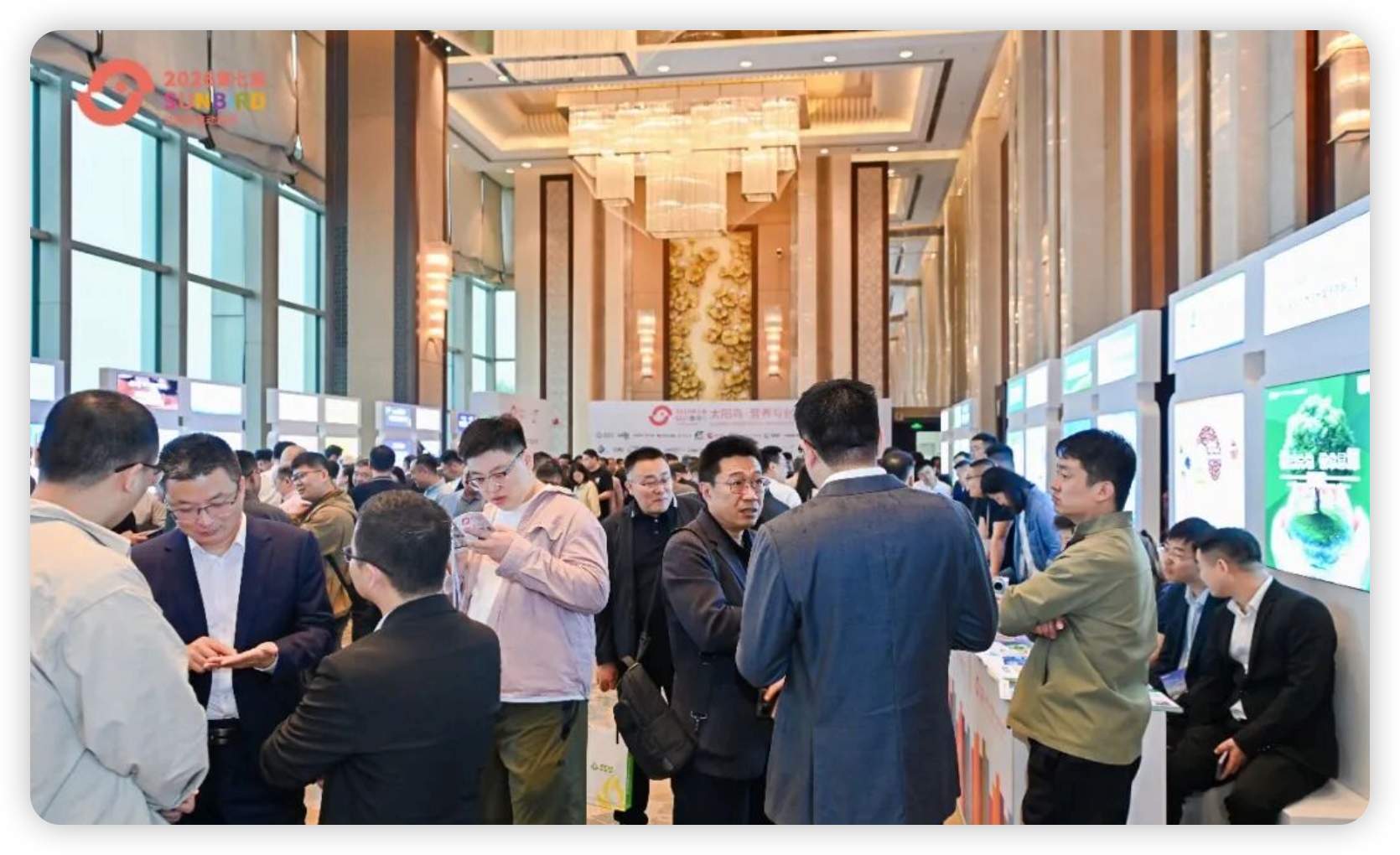 微信图片_20260525140639_2448_146.png